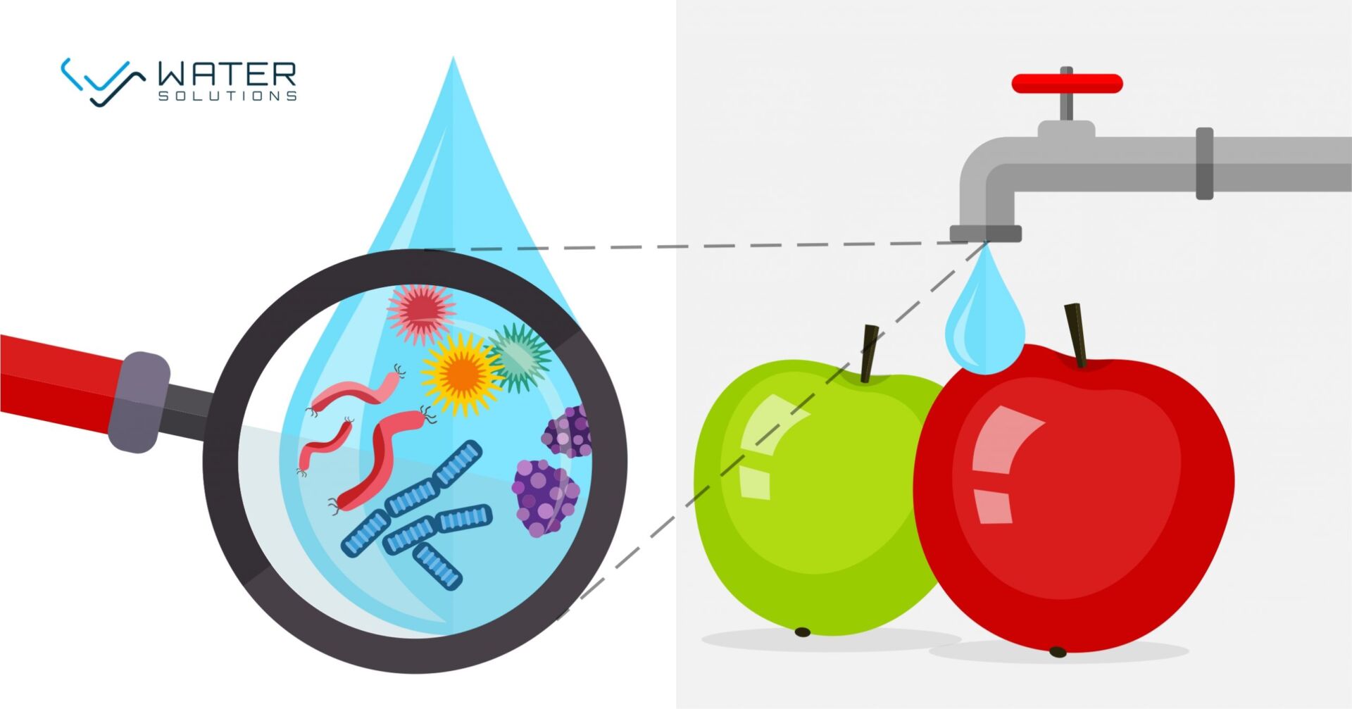 Nepriaznivé účinky baktérii vo vode